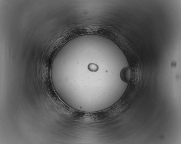 X0000115620608200911241625