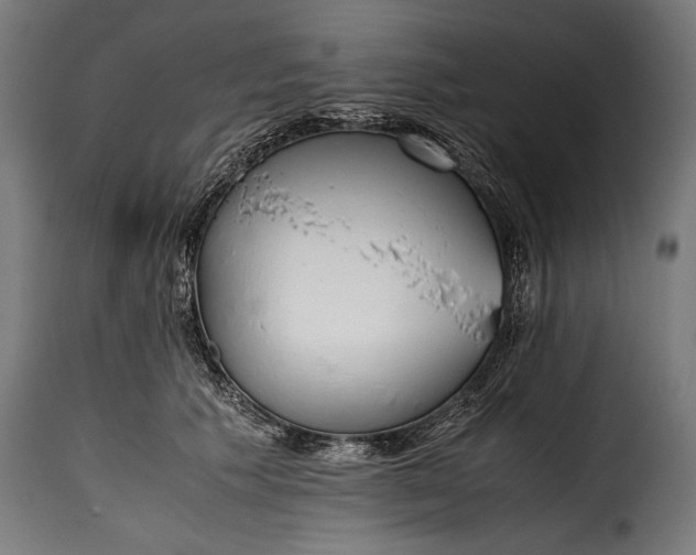 X0000115620609200911241625