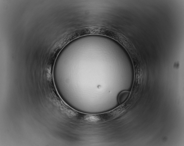 X0000115620610200911241625