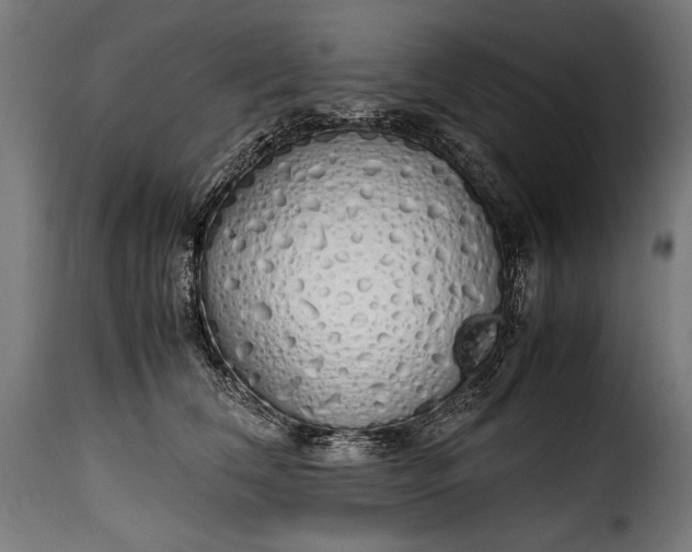 X0000115620612200911241625