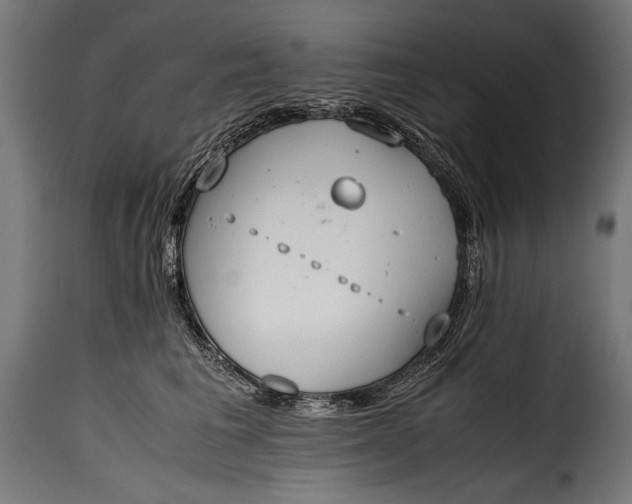 X0000115620613200911241625