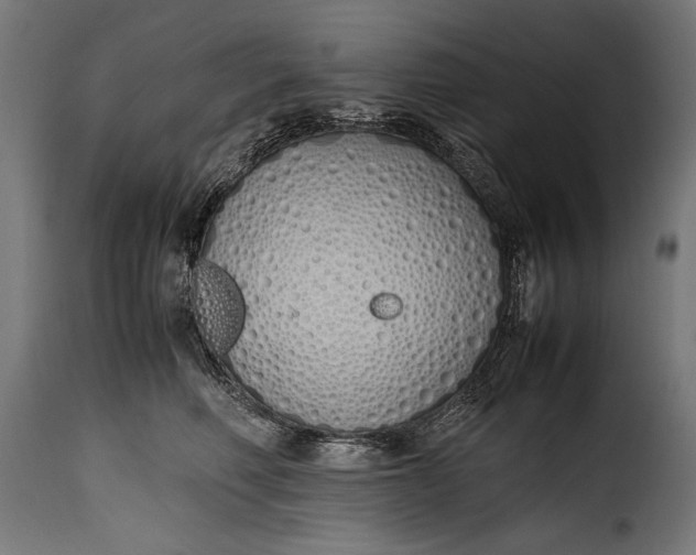 X0000115620614200911241625