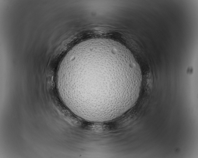 X0000115620615200911241625