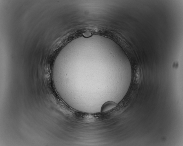 X0000115620616200911241625