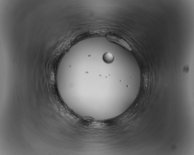 X0000115620617200911241625