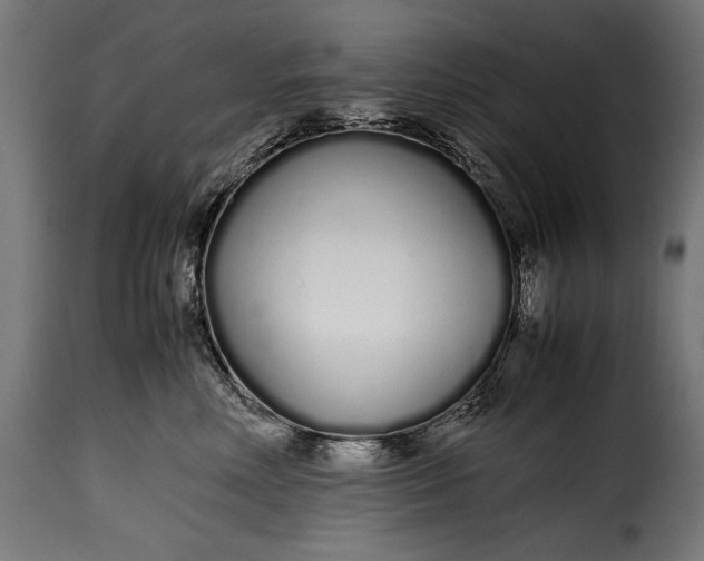 X0000115620618200911241625