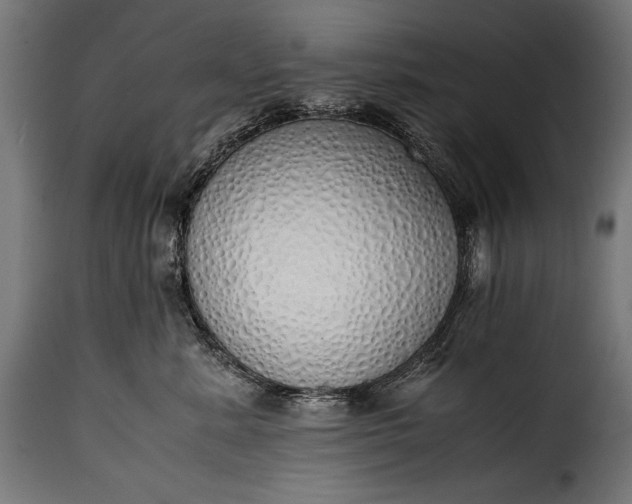 X0000115620619200911241625