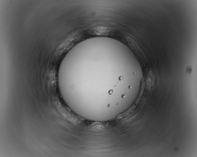 X0000115620620200911241625