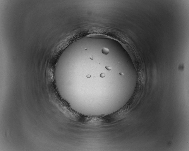 X0000115620621200911241625