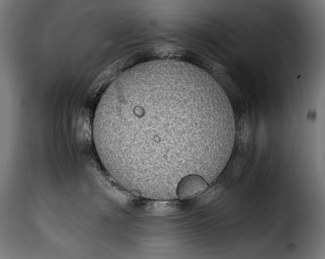 X0000115620622200911241625