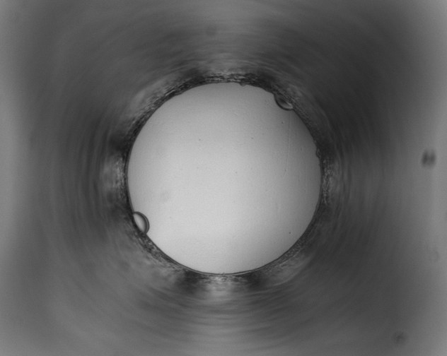 X0000115620623200911241625