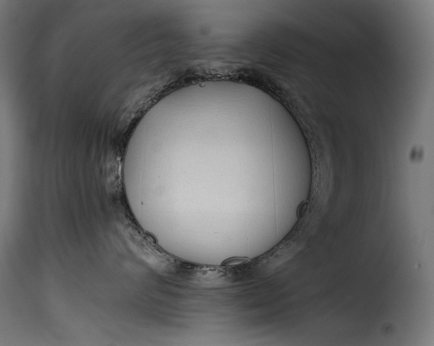 X0000115620624200911241625