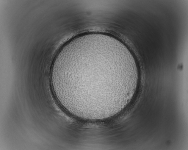 X0000115620625200911241624