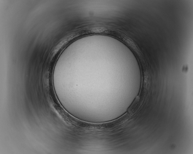 X0000115620626200911241624