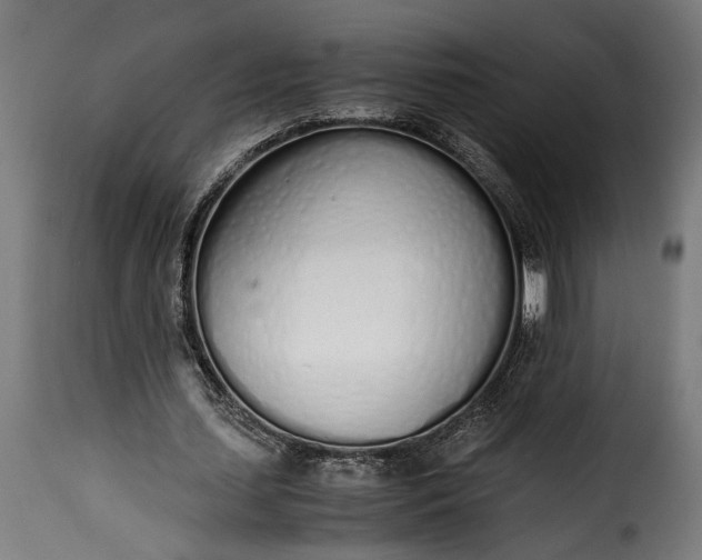 X0000115620627200911241624