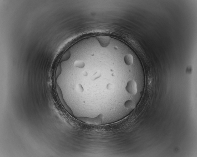 X0000115620628200911241624