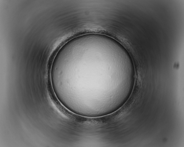 X0000115620630200911241624