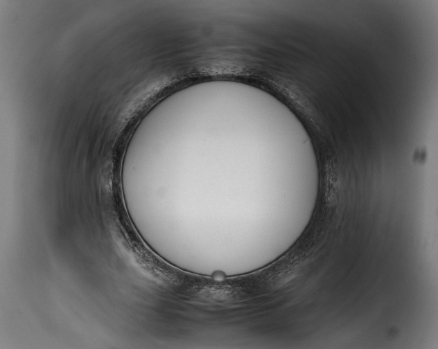 X0000115620631200911241624