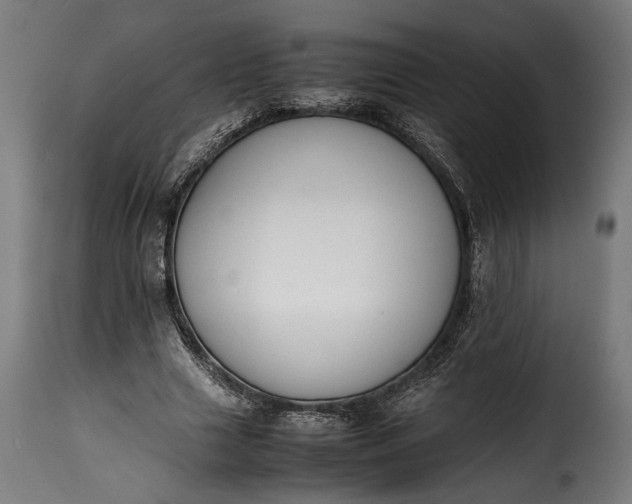 X0000115620633200911241624