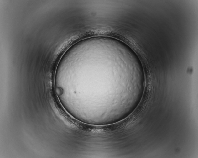 X0000115620634200911241624