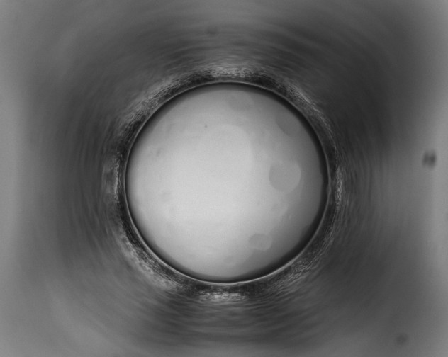 X0000115620637200911241625