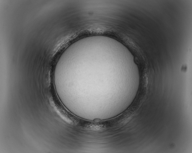 X0000115620638200911241625