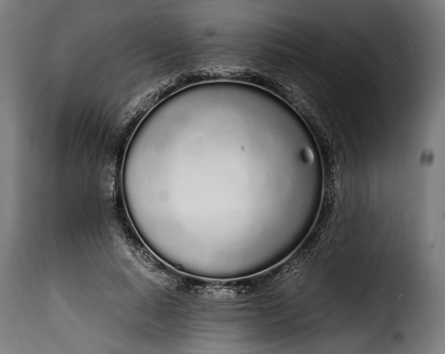 X0000115620640200911241625