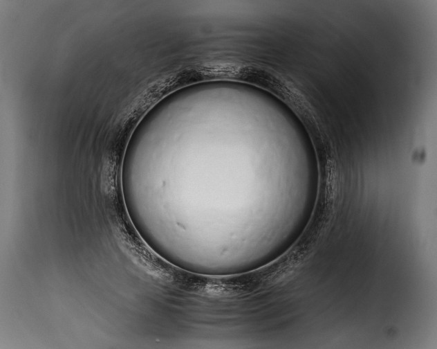 X0000115620641200911241625