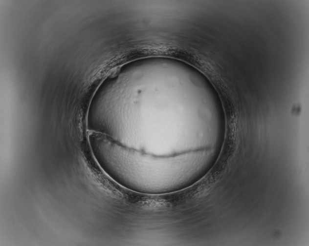 X0000115620642200911241625