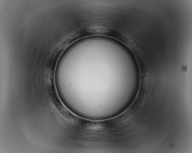 X0000115620643200911241625