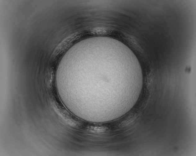 X0000115620645200911241625