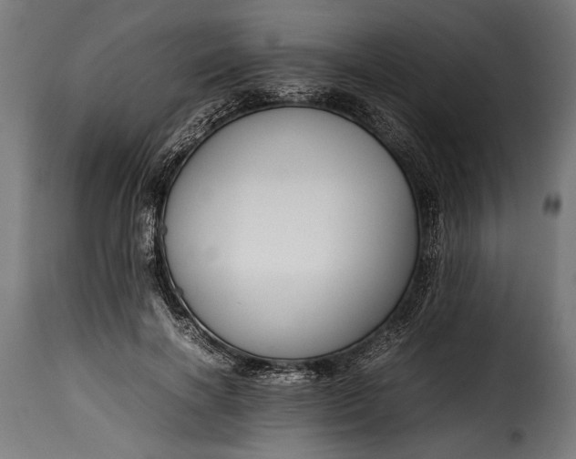 X0000115620646200911241625