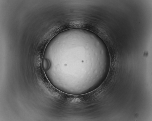 X0000115620647200911241625