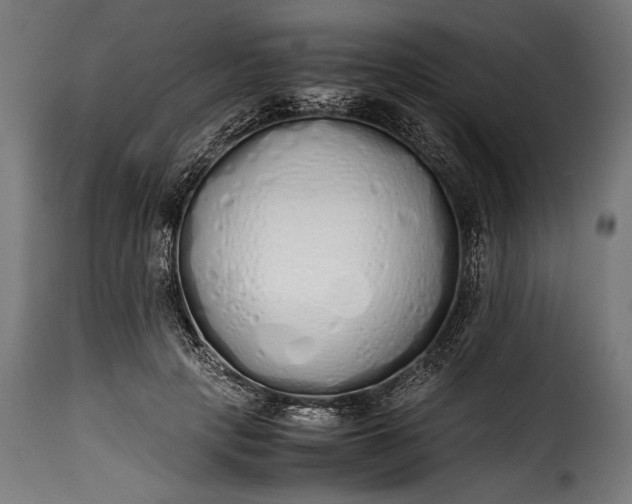 X0000115620649200911241625