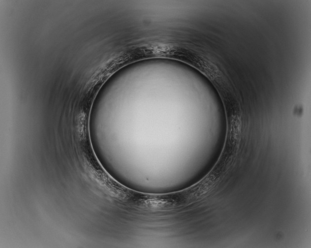 X0000115620650200911241625