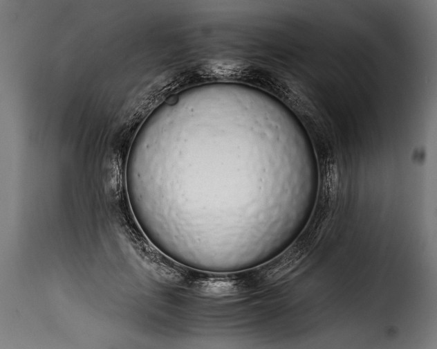 X0000115620651200911241625