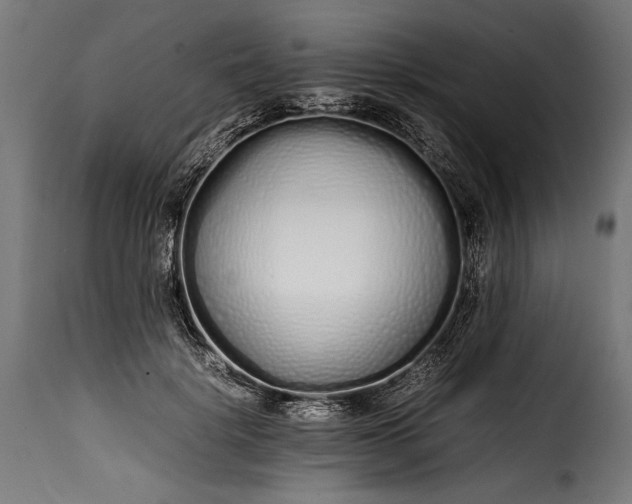 X0000115620652200911241625