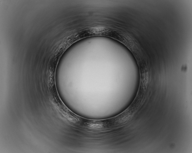 X0000115620653200911241625