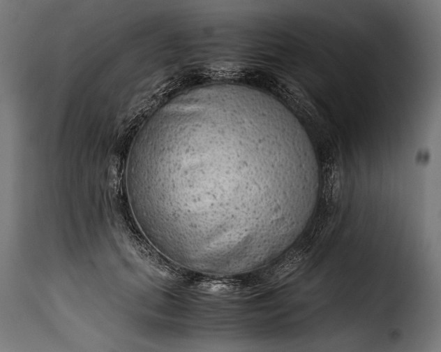 X0000115620655200911241625