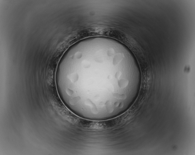 X0000115620656200911241625