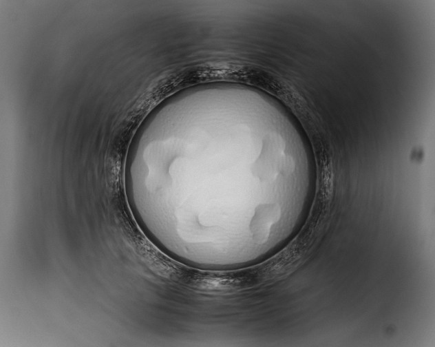 X0000115620657200911241625