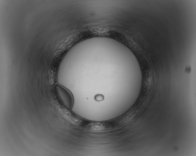 X0000115620658200911241625