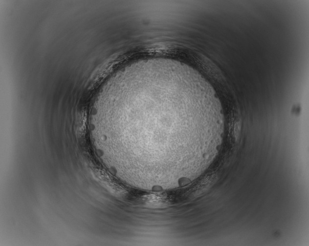 X0000115620660200911241625