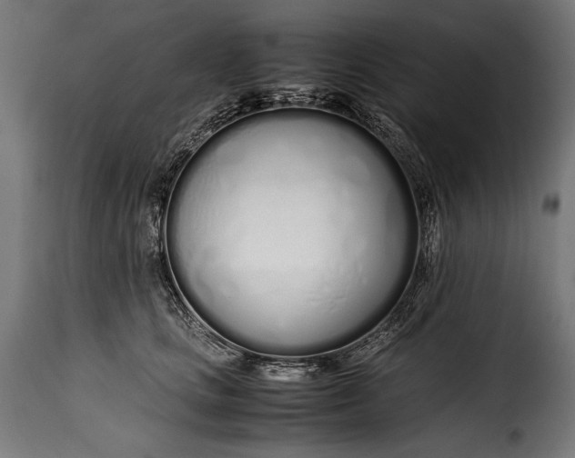 X0000115620661200911241625