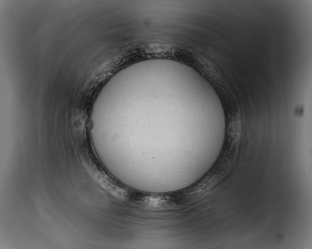 X0000115620662200911241625