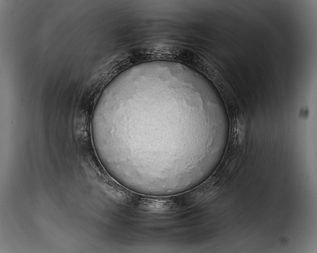 X0000115620663200911241625