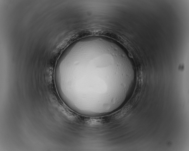 X0000115620664200911241625