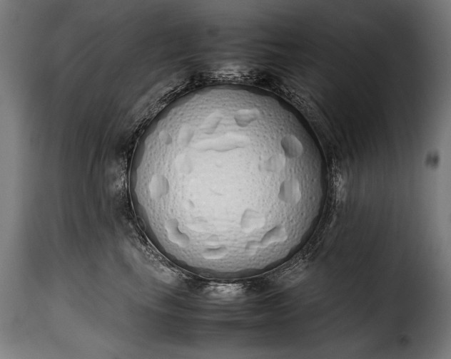 X0000115620665200911241625