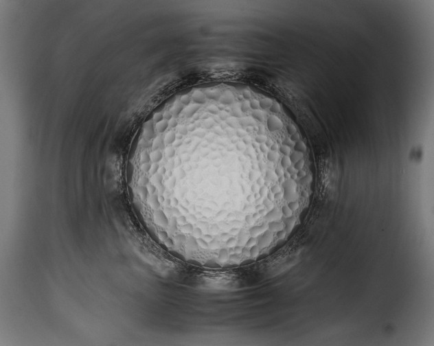 X0000115620667200911241625