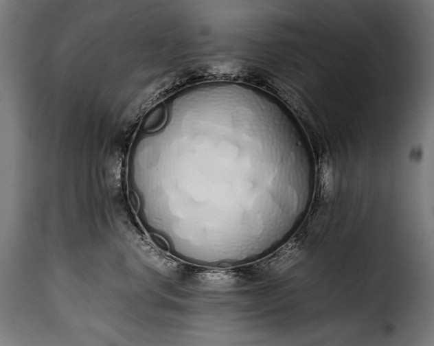 X0000115620668200911241625